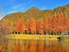 -贵阳市花溪国家城市湿地公园