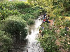-重庆彩云湖湿地公园
