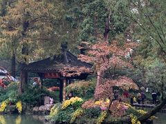 -杭州植物园