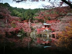 -醍醐寺