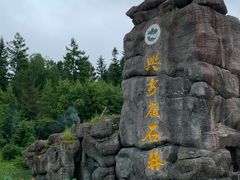 -汤旺河林海奇石景区