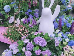 -上房园艺·梦花源