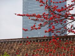 -喜洲吧·江畔老船厂·庭院餐厅(喜临院店)