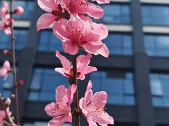 -梁憨包(南岸回龙湾店)