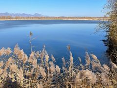 -野鸭湖国家湿地公园