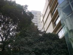 -复旦大学附属华山医院(总院)