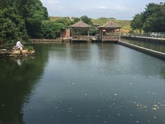 -水库河鲜村