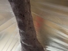 -丽江文化旅游学院