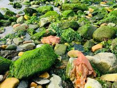 -银沙滩浴场