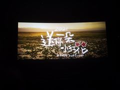 -大光明电影院(南京西路店)