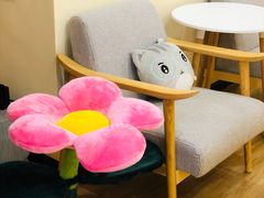 -滚猫咖啡·猫咖·猫友好撸猫(未来城店)