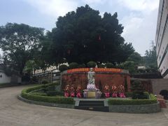 -广州神农草堂中医药博物馆