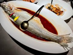 清蒸白水鱼-醉庐·新上海菜(南京西路店)