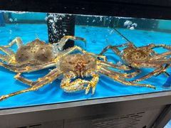 -麦德龙(郑东店)