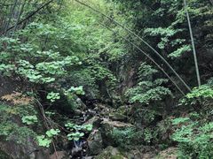 -藏龙百瀑风景区