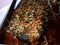 -鱼乐岛餐厅·户外花园主题餐厅