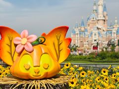 -上海迪士尼度假区