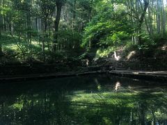 -西湖风景区十里琅珰-五云山