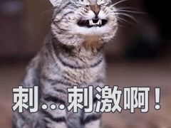 -皇马纯KTV·量贩·聚会(民治店)