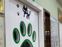 -瑞鹏宠物医院·夜间急症·心超·猫科(祖庙分店)