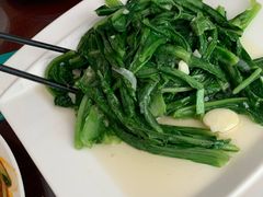 -范记靖远羊羔肉(博物馆店)
