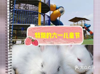 愉快的六一儿童节从格林东庄开始