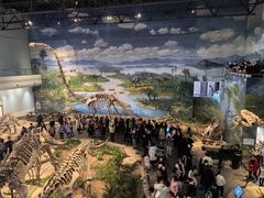 -自贡恐龙博物馆