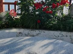 -千禧万福汉亭舫·船舫苏宴