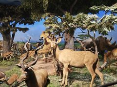 -国家自然博物馆