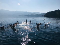 -丽江泸沽湖景区