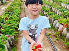 -昆明春城湖畔度假村