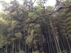 -杭州黄龙洞