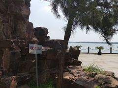 -同里湖度假村(二期店)