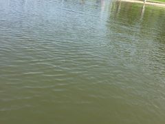 -美兰湖景区
