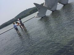 -上海月湖雕塑公园
