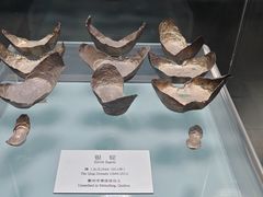 -衢州市博物馆
