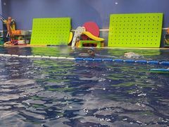-龙格亲子游泳·水育早教运动中心(绿宝中心)