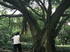 -晓港公园