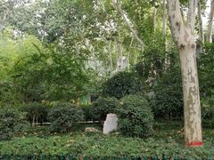 -西安市长乐公园