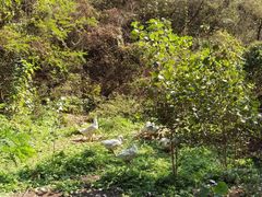 -蟠龙山长城景区