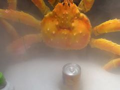 -上清·三文鱼鲜寿司(同德店)