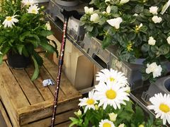 -乐蓬马歇百货公司(Rive Gauche)