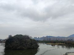 -三垟湿地