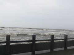 -大鹿岛