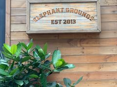 -Elephant Grounds(STARSTREET)