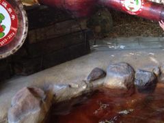 -森波拉火山温泉