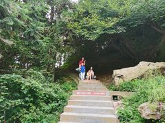 -冶父山国家森林公园