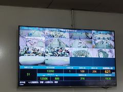 -武汉关码头(轮渡站)