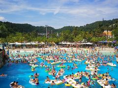 -重庆海昌加勒比海水世界
