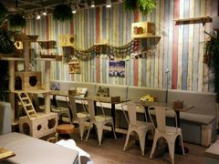 -小时光咖啡馆(开森度假森林店)